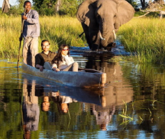okavango delta mokoro 011